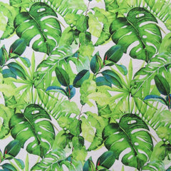 Leaf Print