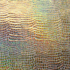 Premium Holographic Print Wall Art