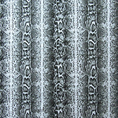 DS2181- Snake Skin