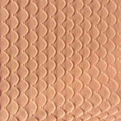 Scala 100% Organic Cotton Jersey Knit Fabric
