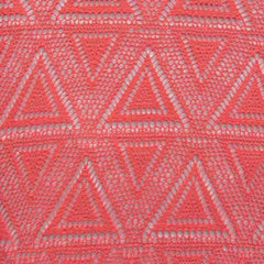 Fancy Net Fabric