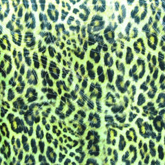 Holographic Print