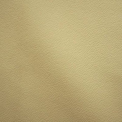 Perforated Pleather
