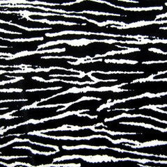 Printed Velvet
