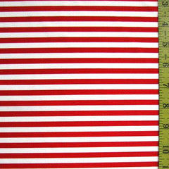 1/4 Inch Horizontal Stripe (Shiny)